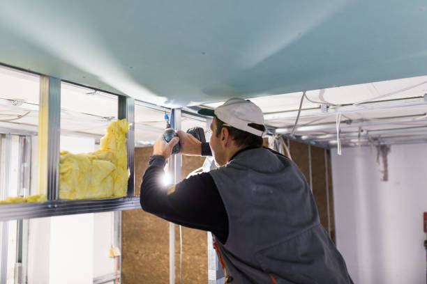 Best Specialty Insulation in Ashburn, VA