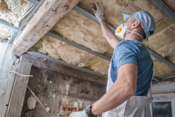 Best Residential Insulation in Ashburn, VA
